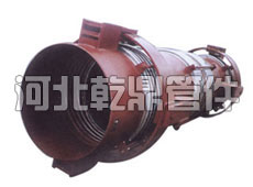 萬向鉸鏈橫向波紋補償器/WJYH